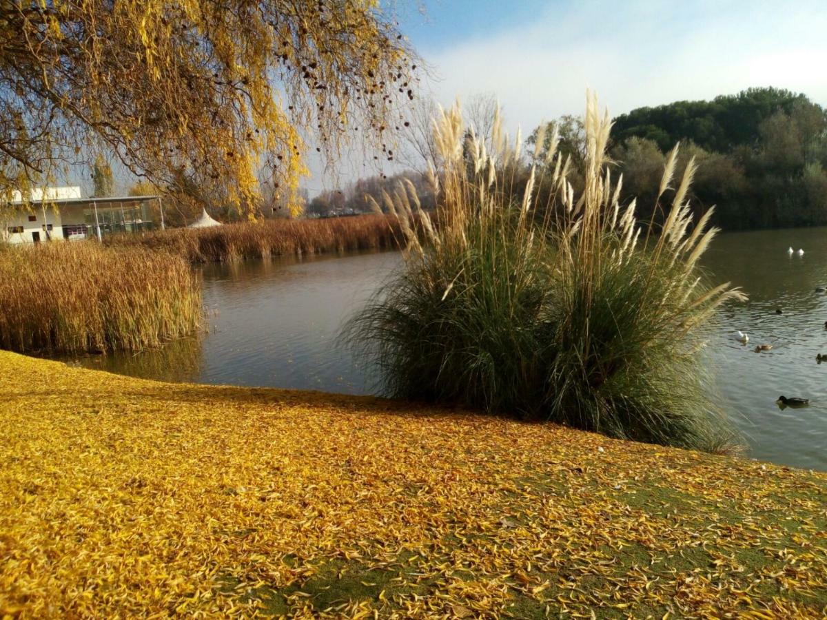 Ferienwohnung La Laguna Laguna de Duero Exterior foto